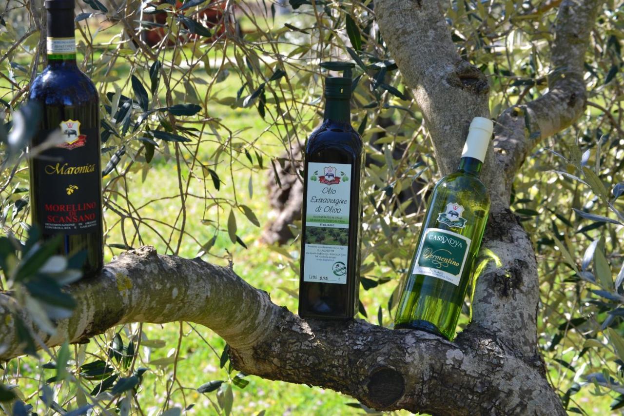 Agriturismo Il Laghetto Grosseto Kültér fotó