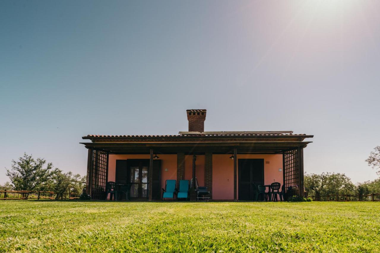 Agriturismo Il Laghetto Grosseto Kültér fotó