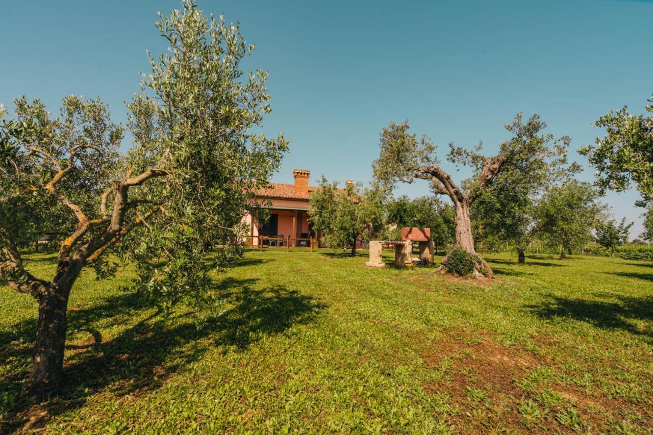 Agriturismo Il Laghetto Grosseto Kültér fotó