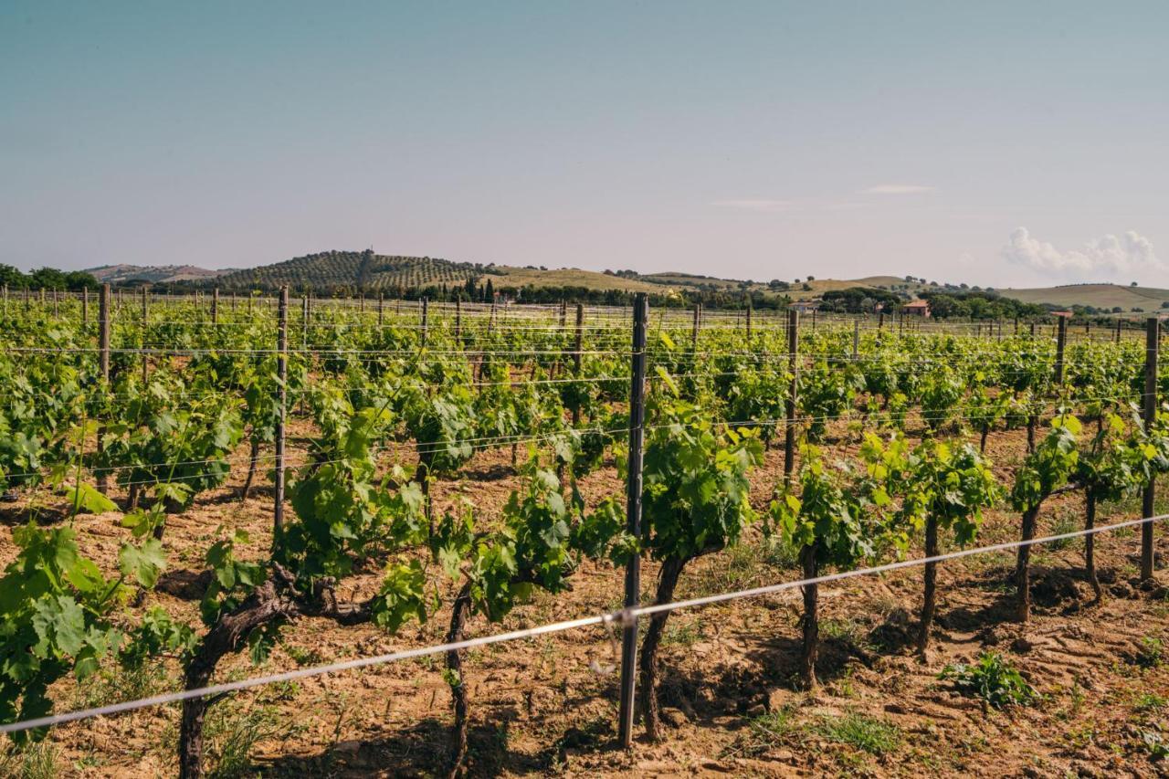 Agriturismo Il Laghetto Grosseto Kültér fotó
