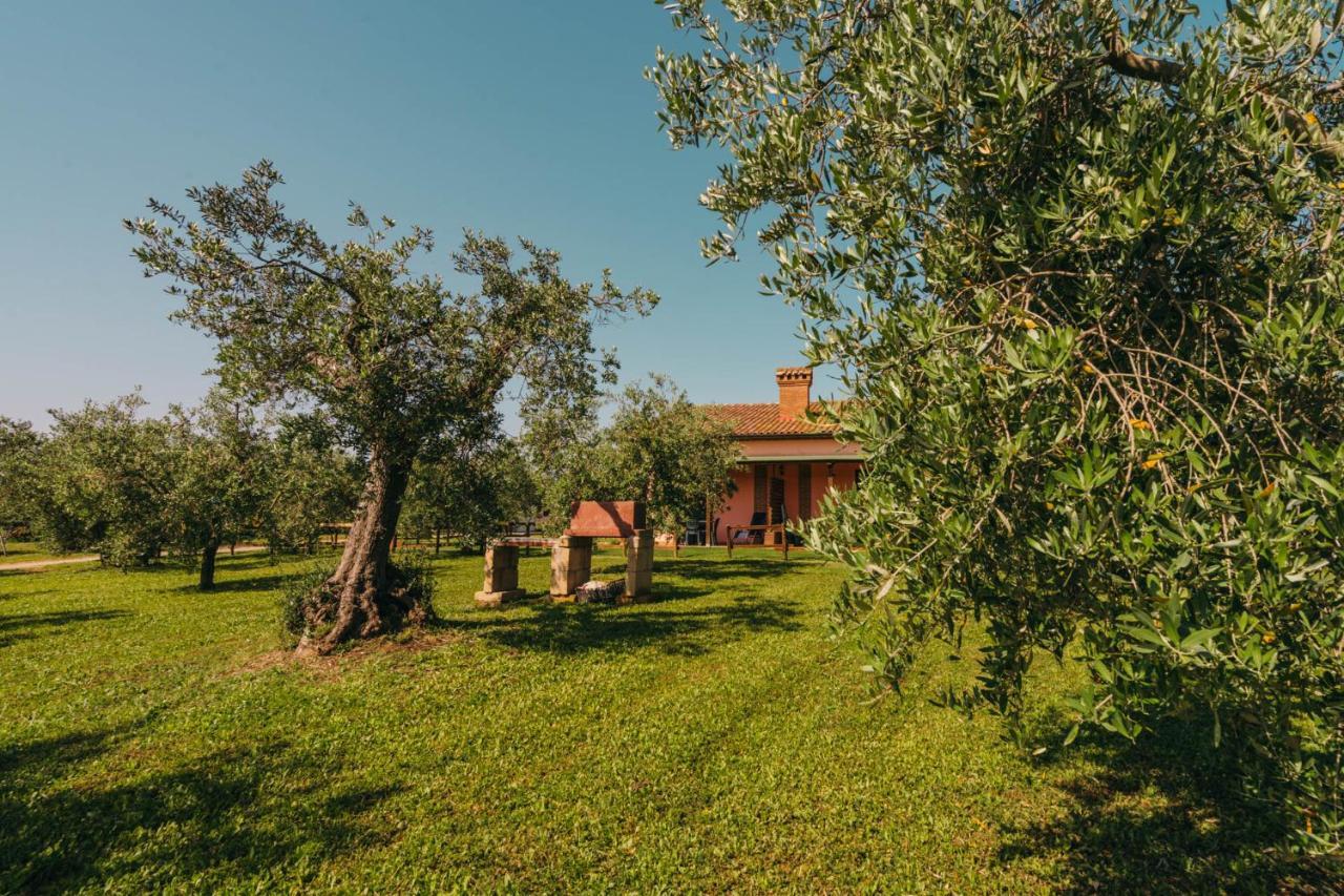 Agriturismo Il Laghetto Grosseto Kültér fotó